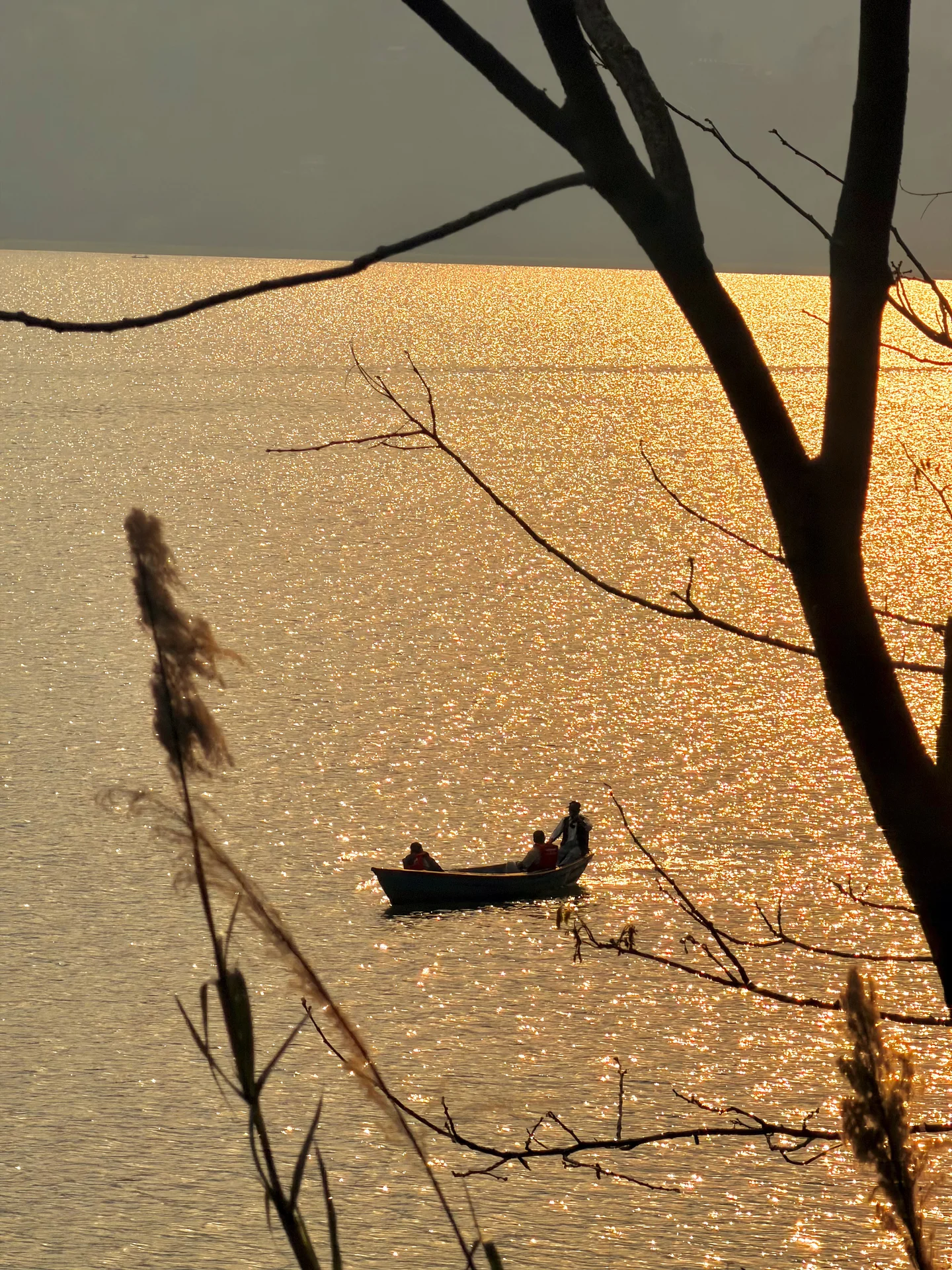Phewa Lake and peaceful Pokhara hillside